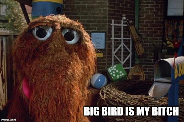 Mr Snuffleupagus Looking for Big Bird | BIG BIRD IS MY B**CH | image tagged in mr snuffleupagus looking for big bird | made w/ Imgflip meme maker