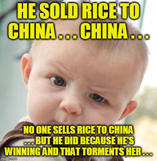 Skeptical Baby Meme | HE SOLD RICE TO CHINA . . . CHINA . . . NO ONE SELLS RICE TO CHINA . . . BUT HE DID BECAUSE HE'S WINNING AND THAT TORMENTS HER . . . | image tagged in memes,skeptical baby | made w/ Imgflip meme maker