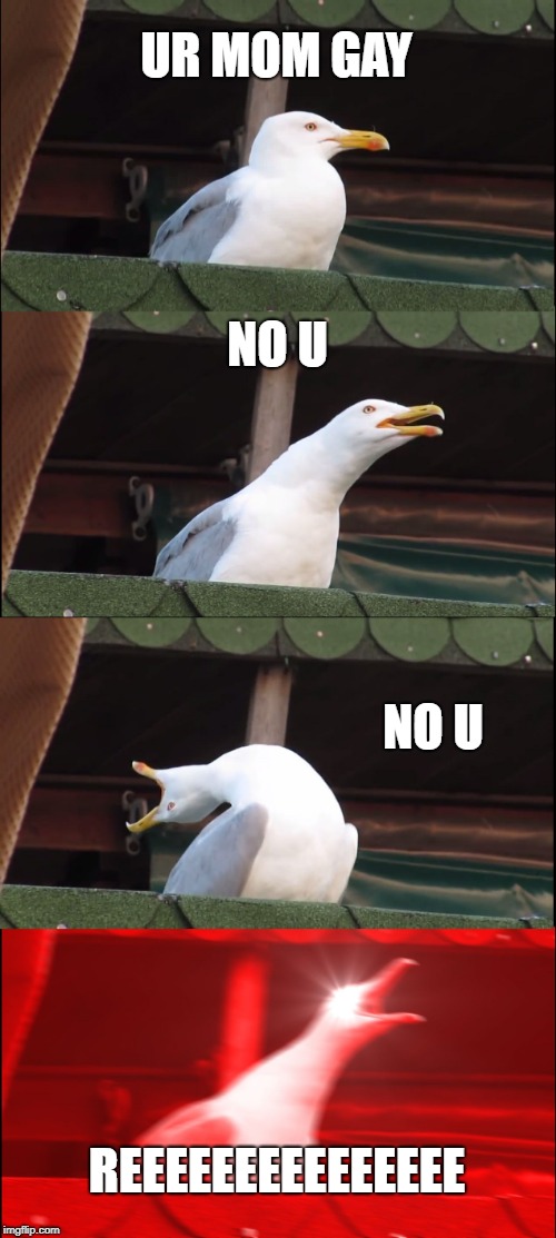 Inhaling Seagull Meme | UR MOM GAY; NO U; NO U; REEEEEEEEEEEEEEE | image tagged in memes,inhaling seagull | made w/ Imgflip meme maker