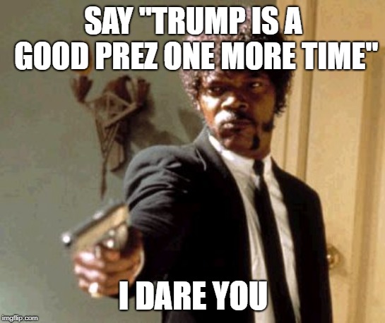 Say That Again I Dare You Meme | SAY "TRUMP IS A GOOD PREZ ONE MORE TIME"; I DARE YOU | image tagged in memes,say that again i dare you | made w/ Imgflip meme maker