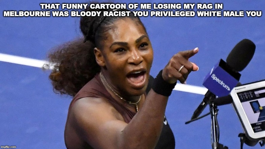 Serena Williams | THAT FUNNY CARTOON OF ME LOSING MY RAG IN MELBOURNE WAS BLOODY RACIST YOU PRIVILEGED WHITE MALE YOU | image tagged in serena williams | made w/ Imgflip meme maker