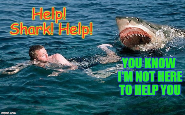 Swimming with sharks | Help! Shark! Help! YOU KNOW I'M NOT HERE TO HELP YOU | image tagged in swimming with sharks | made w/ Imgflip meme maker