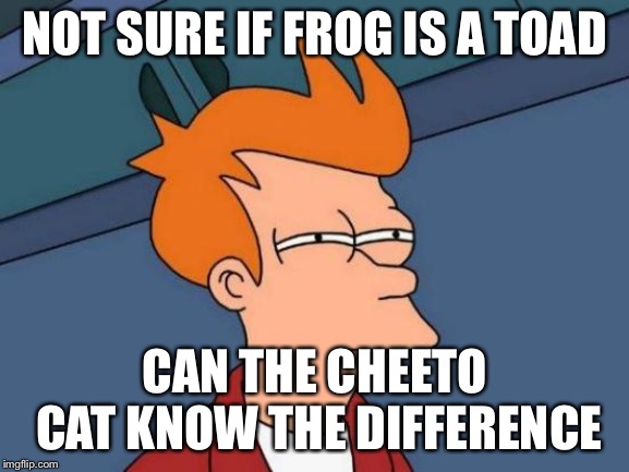 Futurama Fry Meme | NOT SURE IF FROG IS A TOAD; CAN THE CHEETO CAT KNOW THE DIFFERENCE | image tagged in memes,futurama fry | made w/ Imgflip meme maker