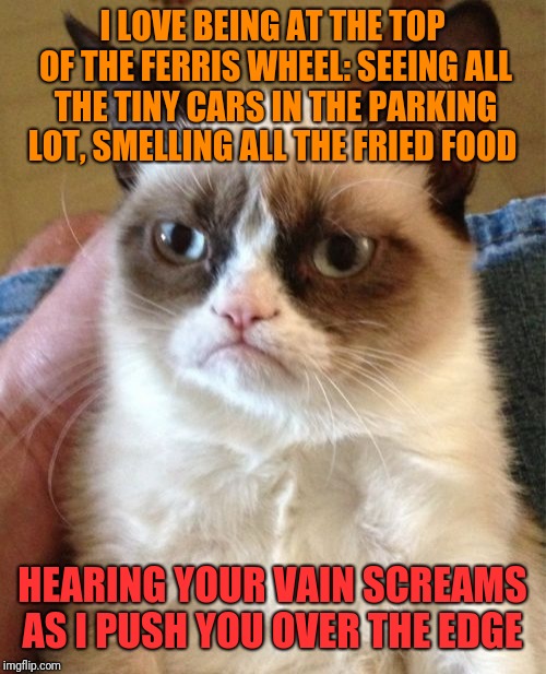 Grumpy Cat Strikes Again! | I LOVE BEING AT THE TOP OF THE FERRIS WHEEL: SEEING ALL THE TINY CARS IN THE PARKING LOT, SMELLING ALL THE FRIED FOOD; HEARING YOUR VAIN SCREAMS AS I PUSH YOU OVER THE EDGE | image tagged in memes,grumpy cat,angel of death,cats,amusement park,grumpy cat does not believe | made w/ Imgflip meme maker