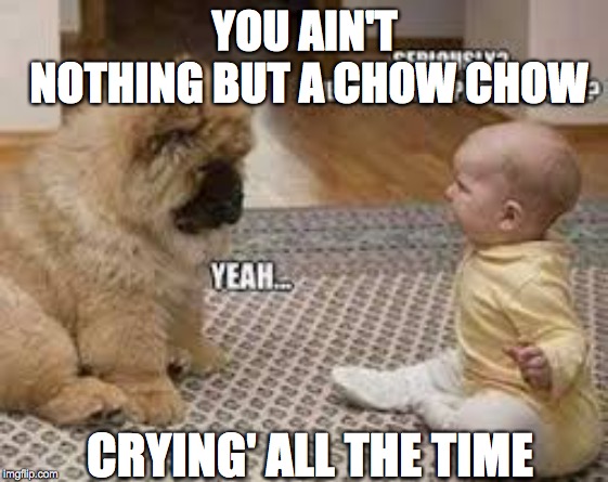 Chow( ciao ) | YOU AIN'T NOTHING BUT A CHOW CHOW; CRYING' ALL THE TIME | image tagged in bad pun dog | made w/ Imgflip meme maker