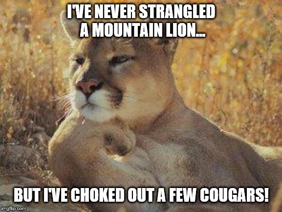 A cougar chillin | I'VE NEVER STRANGLED A MOUNTAIN LION... BUT I'VE CHOKED OUT A FEW COUGARS! | image tagged in a cougar chillin | made w/ Imgflip meme maker