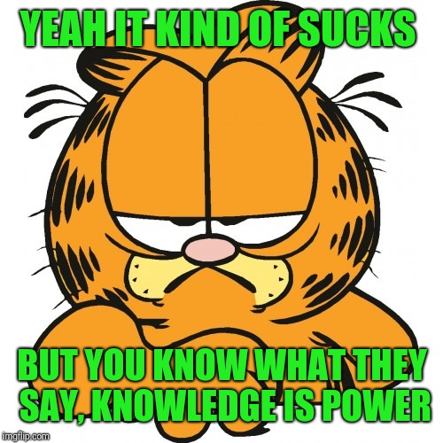 Garfield | YEAH IT KIND OF SUCKS BUT YOU KNOW WHAT THEY SAY, KNOWLEDGE IS POWER | image tagged in garfield | made w/ Imgflip meme maker