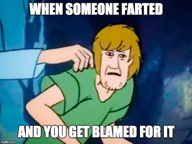 Shaggy meme | WHEN SOMEONE FARTED; AND YOU GET BLAMED FOR IT | image tagged in shaggy meme | made w/ Imgflip meme maker