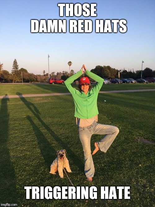 Super Mario Red Hat | THOSE DAMN RED HATS; TRIGGERING HATE | image tagged in maga,super mario bros,political meme,irony | made w/ Imgflip meme maker