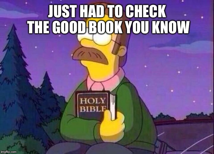 Ned Flanders and Bible | JUST HAD TO CHECK THE GOOD BOOK YOU KNOW | image tagged in ned flanders and bible | made w/ Imgflip meme maker