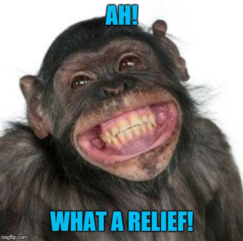 Grinning Chimp | AH! WHAT A RELIEF! | image tagged in grinning chimp | made w/ Imgflip meme maker