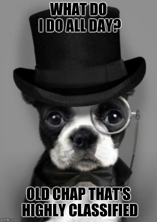 dog with top hat | WHAT DO I DO ALL DAY? OLD CHAP THAT'S HIGHLY CLASSIFIED | image tagged in dog with top hat | made w/ Imgflip meme maker