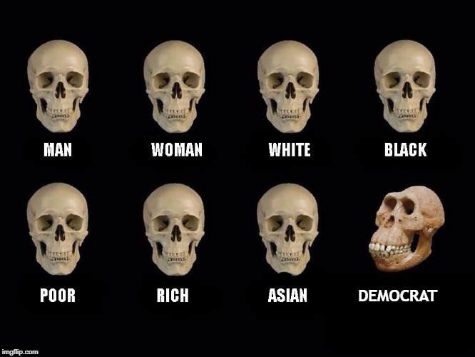 empty skulls of truth | DEMOCRAT | image tagged in empty skulls of truth | made w/ Imgflip meme maker