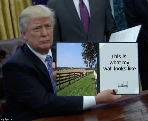 Trump Bill Signing | This is what my wall looks like | image tagged in memes,trump bill signing | made w/ Imgflip meme maker