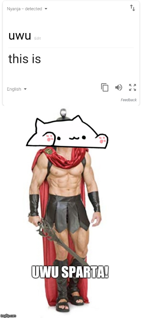 UWU SPARTA!!! | image tagged in memes,funny,bongo cat,this is sparta,uwu | made w/ Imgflip meme maker