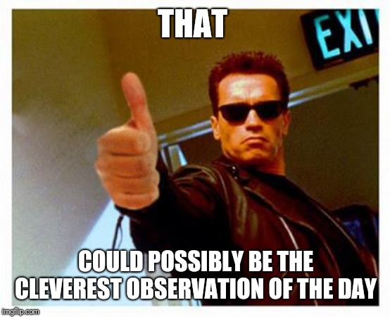 terminator thumbs up | THAT COULD POSSIBLY BE THE CLEVEREST OBSERVATION OF THE DAY | image tagged in terminator thumbs up | made w/ Imgflip meme maker