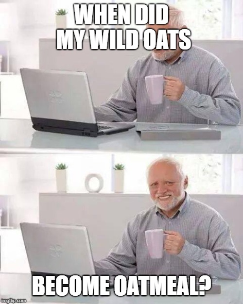 Hide the Pain Harold | WHEN DID MY WILD OATS; BECOME OATMEAL? | image tagged in memes,hide the pain harold | made w/ Imgflip meme maker