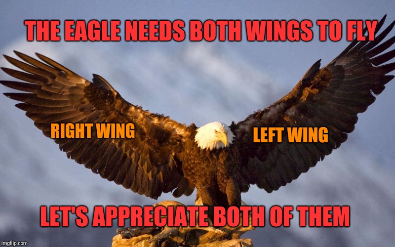 And by the way, the wings are labeled relative to the eagle itself | THE EAGLE NEEDS BOTH WINGS TO FLY; LEFT WING; RIGHT WING; LET'S APPRECIATE BOTH OF THEM | image tagged in patriotic eagle,left wing,right wing,political meme,triumph,united we stand | made w/ Imgflip meme maker