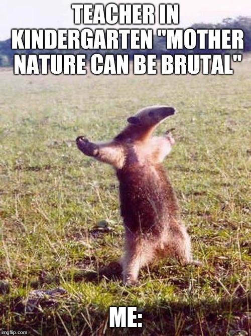 Fight me anteater | TEACHER IN KINDERGARTEN "MOTHER NATURE CAN BE BRUTAL"; ME: | image tagged in fight me anteater | made w/ Imgflip meme maker