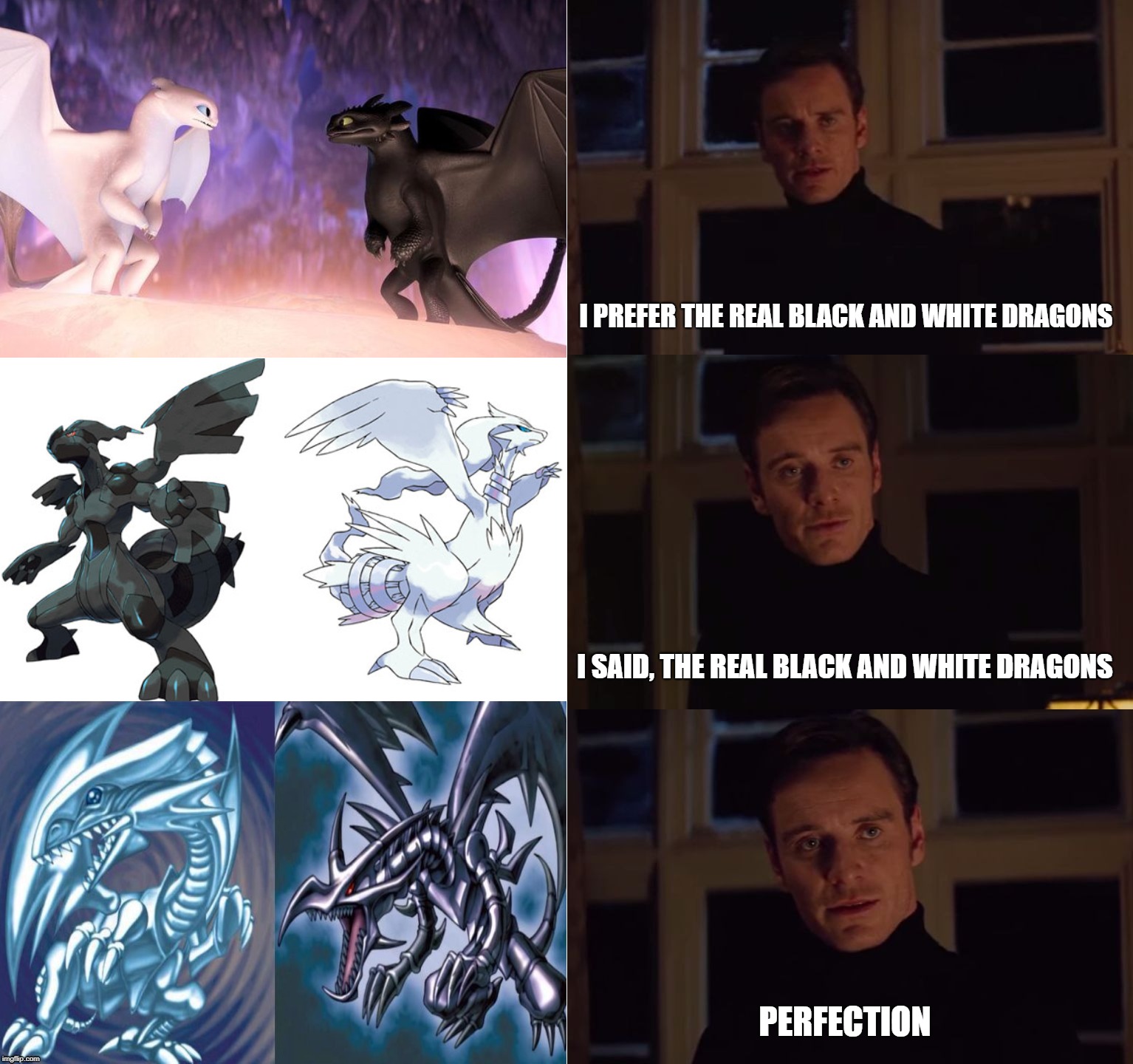 The Real Black and White Dragons | I PREFER THE REAL BLACK AND WHITE DRAGONS; I SAID, THE REAL BLACK AND WHITE DRAGONS; PERFECTION | image tagged in pokemon,black and white,httyd,anime,yugioh | made w/ Imgflip meme maker