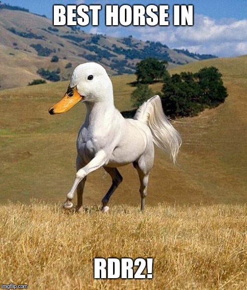 BEST HORSE IN; RDR2! | image tagged in fun | made w/ Imgflip meme maker