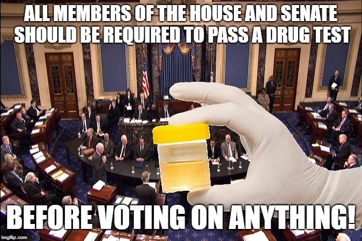 House and Senate drug testing | ALL MEMBERS OF THE HOUSE AND SENATE SHOULD BE REQUIRED TO PASS A DRUG TEST; BEFORE VOTING ON ANYTHING! | image tagged in senate piss cup,house,senate,vote | made w/ Imgflip meme maker