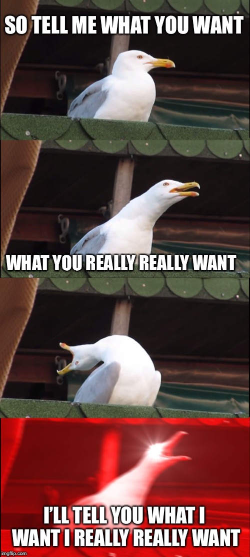 Inhaling Seagull | SO TELL ME WHAT YOU WANT; WHAT YOU REALLY REALLY WANT; I’LL TELL YOU WHAT I WANT I REALLY REALLY WANT | image tagged in memes,inhaling seagull | made w/ Imgflip meme maker