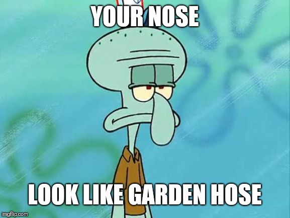 Squidward | YOUR NOSE; LOOK LIKE GARDEN HOSE | image tagged in squidward | made w/ Imgflip meme maker