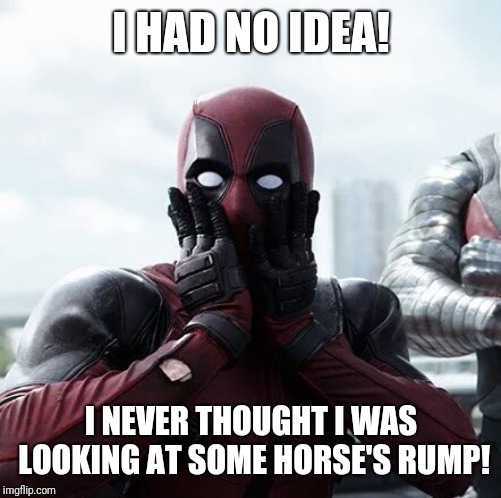 Deadpool Surprised Meme | I HAD NO IDEA! I NEVER THOUGHT I WAS LOOKING AT SOME HORSE'S RUMP! | image tagged in memes,deadpool surprised | made w/ Imgflip meme maker