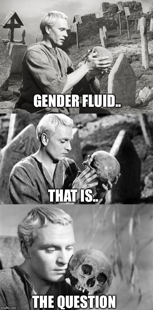 Gender fluid.. | GENDER FLUID.. THAT IS.. THE QUESTION | image tagged in hamlet,gender fluid | made w/ Imgflip meme maker