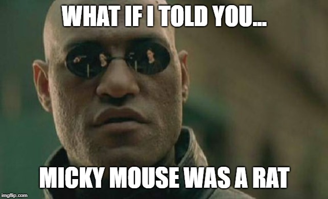 Matrix Morpheus | WHAT IF I TOLD YOU... MICKY MOUSE WAS A RAT | image tagged in memes,matrix morpheus | made w/ Imgflip meme maker