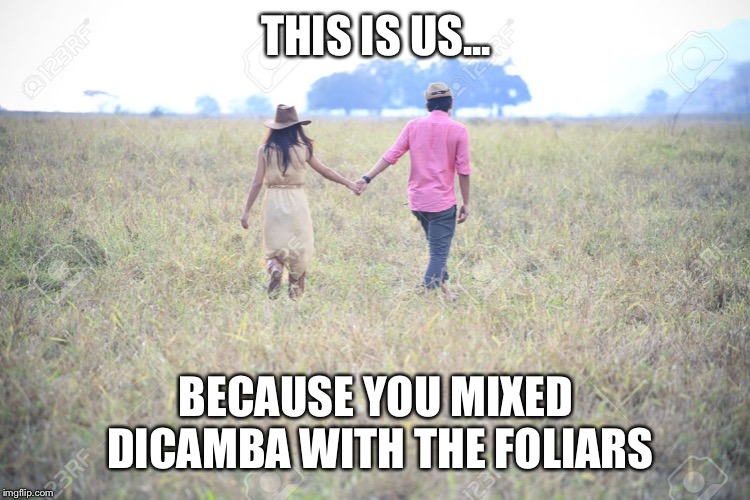 This is us Farmer | THIS IS US... BECAUSE YOU MIXED DICAMBA WITH THE FOLIARS | image tagged in this could be us but,monsanto,farmer,funny,spray | made w/ Imgflip meme maker