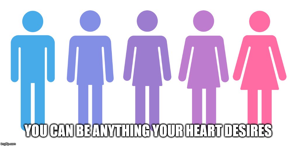 Gender Fluid | YOU CAN BE ANYTHING YOUR HEART DESIRES | image tagged in gender fluid | made w/ Imgflip meme maker