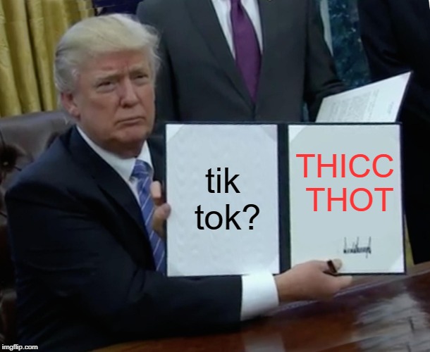 coincidence i think not! #anti-tik tok week? | tik tok? THICC THOT | image tagged in memes,trump bill signing | made w/ Imgflip meme maker