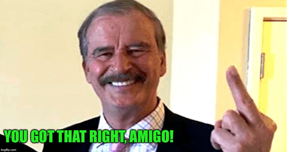 Vincente Fox | YOU GOT THAT RIGHT, AMIGO! | image tagged in vincente fox | made w/ Imgflip meme maker