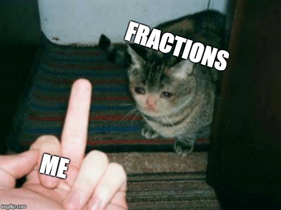 Math and I don't get along too well. | FRACTIONS; ME | image tagged in cat memes,cat,kitten,math,middle finger | made w/ Imgflip meme maker