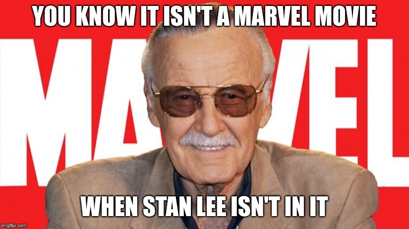 YOU KNOW IT ISN'T A MARVEL MOVIE; WHEN STAN LEE ISN'T IN IT | image tagged in stan lee | made w/ Imgflip meme maker