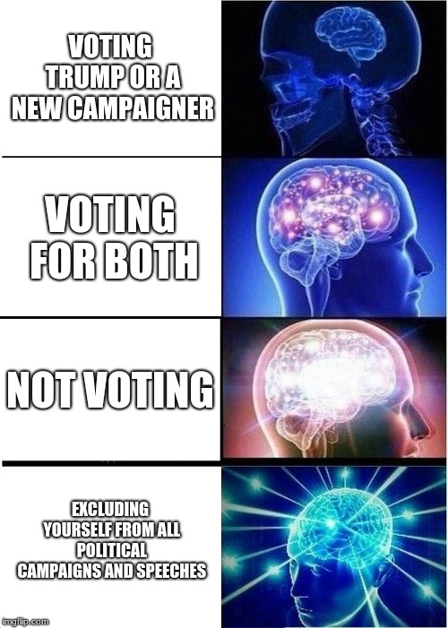 Expanding Brain | VOTING TRUMP OR A NEW CAMPAIGNER; VOTING FOR BOTH; NOT VOTING; EXCLUDING YOURSELF FROM ALL POLITICAL CAMPAIGNS AND SPEECHES | image tagged in memes,expanding brain | made w/ Imgflip meme maker