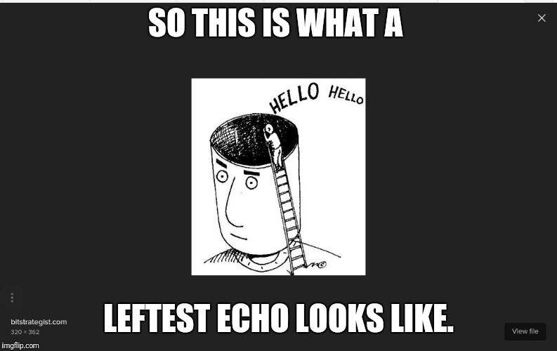 Leftest echo chamber defined | SO THIS IS WHAT A; LEFTEST ECHO LOOKS LIKE. | image tagged in leftest brain fuction,indocrinated,msm lies,mockingbird journalists | made w/ Imgflip meme maker