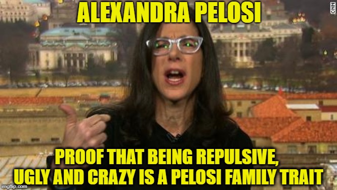 ALEXANDRA PELOSI; PROOF THAT BEING REPULSIVE, UGLY AND CRAZY IS A PELOSI FAMILY TRAIT | image tagged in nancy pelosi,liberal logic,liberals,democratic party,nancy pelosi wtf | made w/ Imgflip meme maker