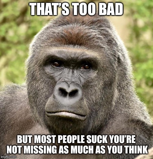 Har | THAT’S TOO BAD BUT MOST PEOPLE SUCK YOU’RE NOT MISSING AS MUCH AS YOU THINK | image tagged in har | made w/ Imgflip meme maker