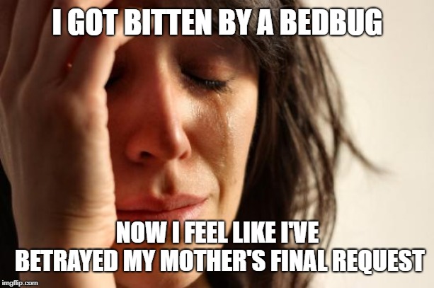 Hey, That's All She Could Think Of AT The Time | I GOT BITTEN BY A BEDBUG; NOW I FEEL LIKE I'VE BETRAYED MY MOTHER'S FINAL REQUEST | image tagged in memes,first world problems,bedbugs | made w/ Imgflip meme maker