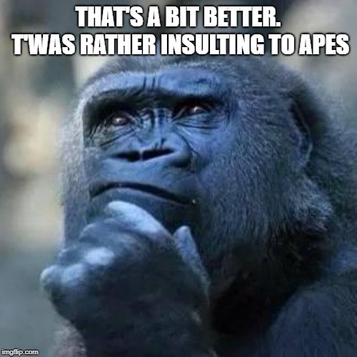 Thinking ape | THAT'S A BIT BETTER. T'WAS RATHER INSULTING TO APES | image tagged in thinking ape | made w/ Imgflip meme maker