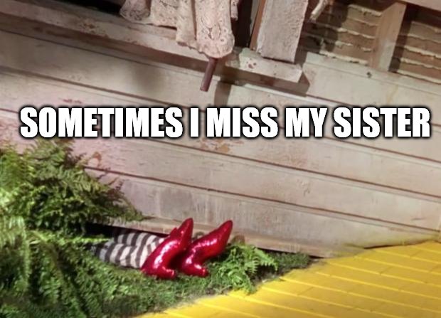 Wicked Witch of the East Cellar Door | SOMETIMES I MISS MY SISTER | image tagged in wicked witch of the east cellar door | made w/ Imgflip meme maker
