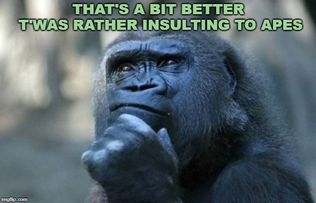 thinking ape | THAT'S A BIT BETTER T'WAS RATHER INSULTING TO APES | image tagged in thinking ape | made w/ Imgflip meme maker