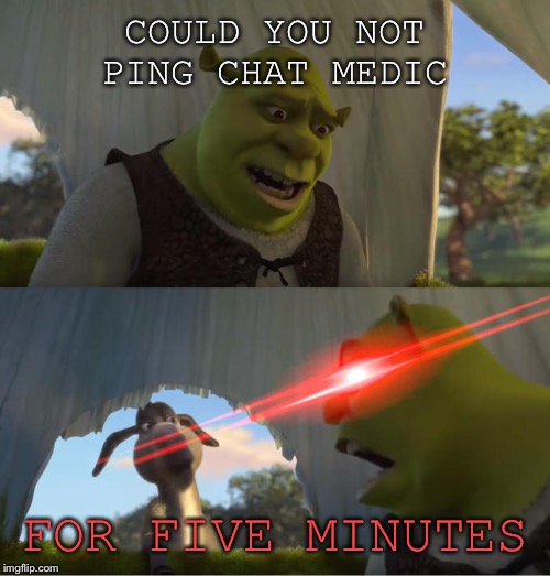 Shrek For Five Minutes | COULD YOU NOT PING CHAT MEDIC; FOR FIVE MINUTES | image tagged in shrek for five minutes | made w/ Imgflip meme maker