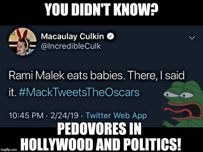 Pedophiles and Pedovores throughout Hollywood and Politics | YOU DIDN'T KNOW? PEDOVORES IN HOLLYWOOD AND POLITICS! | image tagged in mccauley culkin exposes pedophiles and pedovores in hollywood,pedophilia,pedovores,blackmail,corruption | made w/ Imgflip meme maker