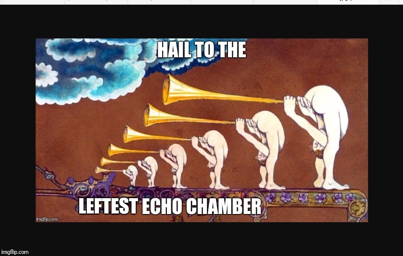 hail to the leftest echo chamber | LEFTEST | image tagged in hail to the leftest echo chamber,msm lies,propaganda,corruption | made w/ Imgflip meme maker