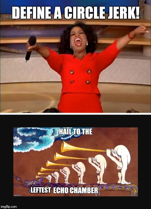 DEFINE A CIRCLE JERK! LEFTEST | image tagged in memes,oprah you get a,hail to the leftest echo chamber | made w/ Imgflip meme maker