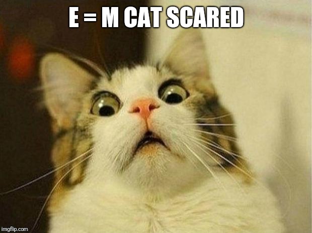 Scared Cat Meme | E = M CAT SCARED | image tagged in memes,scared cat | made w/ Imgflip meme maker